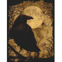 My Raven