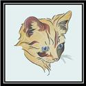Kitten, Blue and Orange