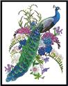 Proud as a Peacock