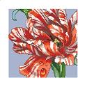 Pattern, Striped Parrot Tulip Big Stitch by Kooler Design Studio