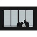 Cats in the Window