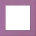 Supply, Purple Iris Frame 8