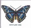 Butterfly Pattern 802