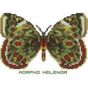 Butterfly Pattern 807