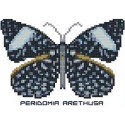 Butterfly Pattern 808