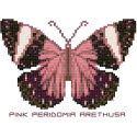 Butterfly Pattern 809