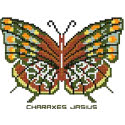 Butterfly Pattern 810
