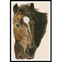 Bay Horse
