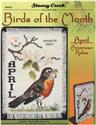 Birds Of The Month - April (American Robin)