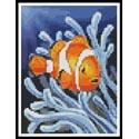 Mini Clownfish 2