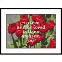 Love Tulips Sampler