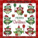 Christmas Owls
