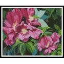 Wild Red Roses