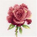 Red Rose