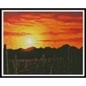 Arizona Sunset