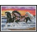 Horses on a Beach