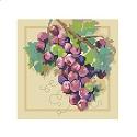 Pattern, Grapes on Vine Big Stitch by Kooler Design Studio