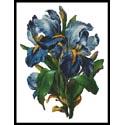 Pattern, Bunch of Irises by Artecy Cross Stitch