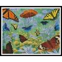 Butterfly Bonanza