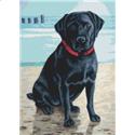 Pattern, On the Beach by White Willow Stitching