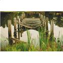 Swamp Jetty