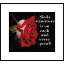 God's Signature Sampler