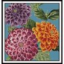 Mini Dahlias