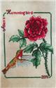 Allen's Hummingbird 2014