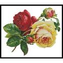 Victorian Roses 2
