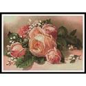 Pink and Apricot Roses