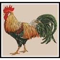Rooster