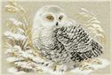 White Owl