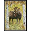 Moose in the Meadow