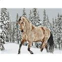 Winter Romp