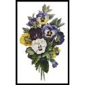 Pansy Bouquet