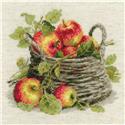 Ripe Apples