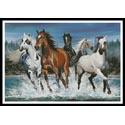 Wild Horses