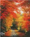 Autumn in New England