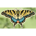 Yellow Swallowtail