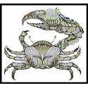 Crab