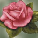Perfect Rose Cross Stitch Pattern