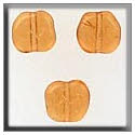 Beads, Buttons & Charm, 12253 - Flat Baroque Bead Topaz by Mill Hill
