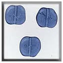 Beads, Buttons & Charm, 12254 - Flat Baroque by Mill Hill