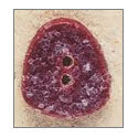 Beads, Buttons & Charm, Red Gumdrop by Debbie Mumm Buttons