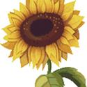 Pattern, Single Sunflower Cross Stitch by StitchX Craft Designs