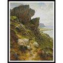 Rugged Pasture