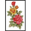 Pink and Yellow Roses