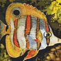 Pattern, Butterfly Fish Cross Stitch Pattern by StitchX Craft Designs