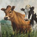 Cows at the Fence Cross Stitch Pattern