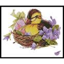 Easter Duck